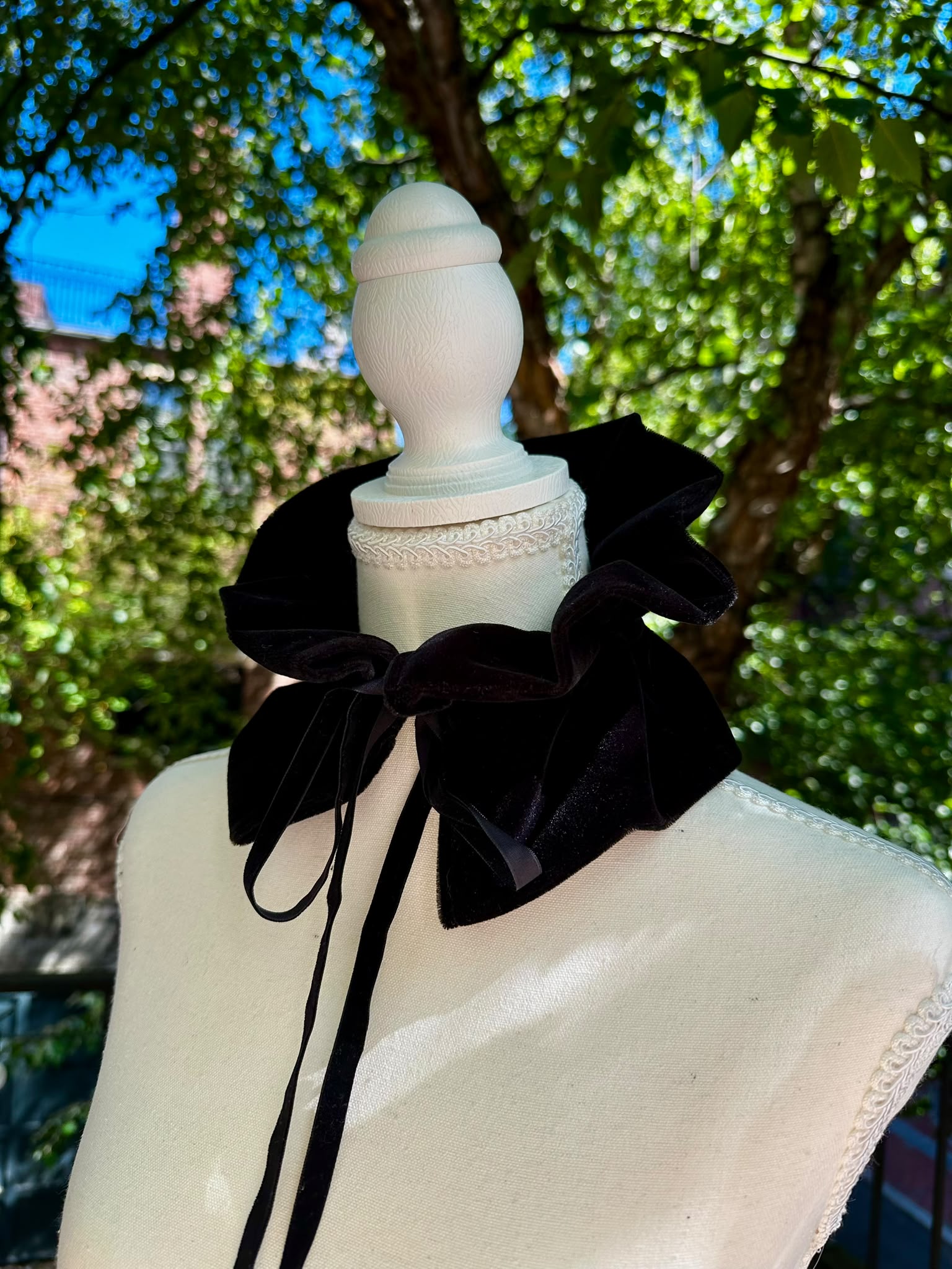 Victoria — Black Velvet Collar