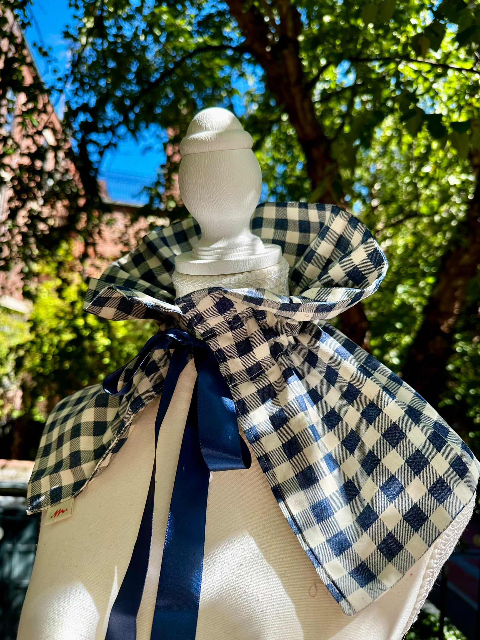 Marina — Blue Gingham Collar